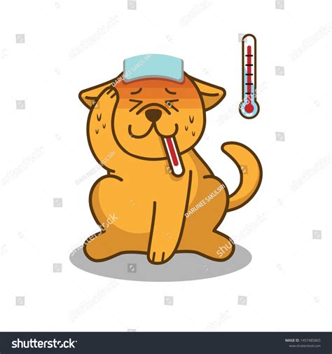 What Is A High Fever For A Dog