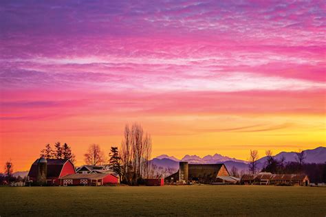 Lynden tribune obits updates reflect recent community losses 29