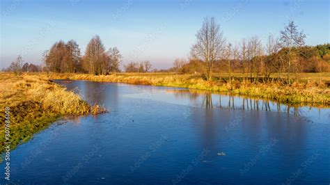 Rzeka Narew W Okolicy Suraża Narwiański Park Narodowy Dolina Narwi
