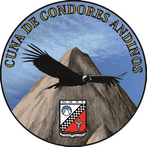 Seccion Aviacion De Ejercito De Montaña 8