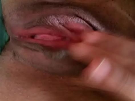 My Girls Wet Pussy XNXX