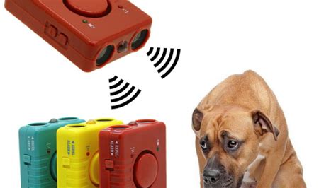 Купил ультразвуковой отпугиватель собак. Показываю и рассказываю про ...