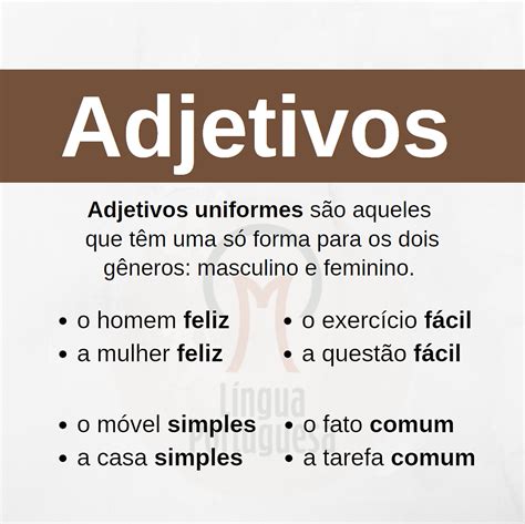 O Que É Um Adjetivo Uniforme - Oque são adjetivos uniformes?