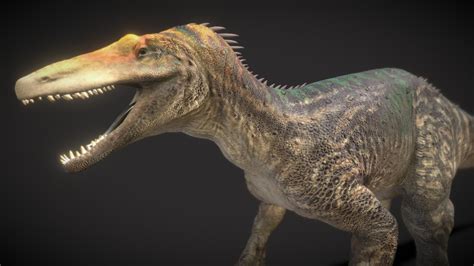 maip macrothorax  model  robertfabiani cd sketchfab