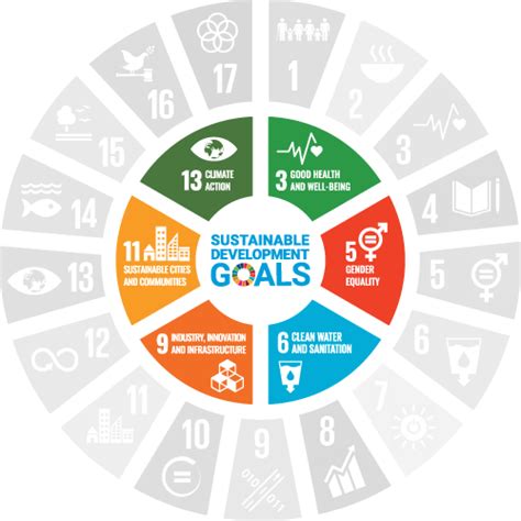 common understanding  sustainable development goals