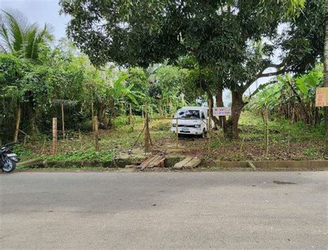 Residential Farm Lot For Sale Silang Cavite Properties July