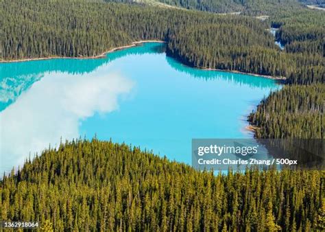 80 Pine Lake Alberta Stock Photos High Res Pictures And Images