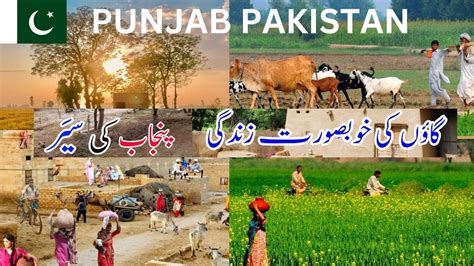 Punjab Pakistan Village Life Punjab Natural Beauty Pak Punjab Village