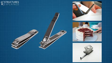 Shear Forces and Shear Stresses in Structures - Structures Explained
