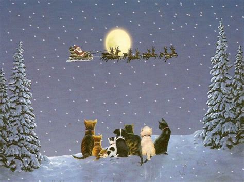 Pin By Diane Wirtz On Cats Christmas Community Board Christmas Cats