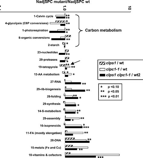 Figure 1 from ClpS1 Is a Conserved Substrate Selector for the ...