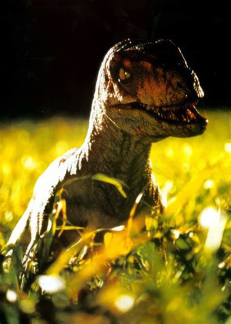 Jurassic Park Tiger - Jurassic Park Tiger Raptor by IlyaDragons2578 on DeviantArt