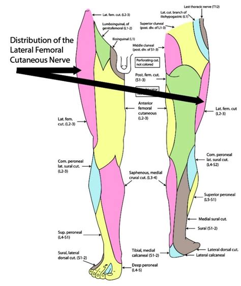 Hip Region Exam Approach To Stanford Medicine Stanford Medicine