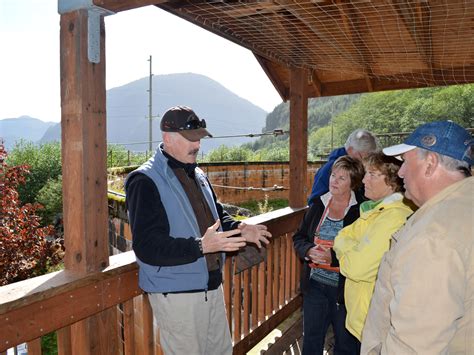 Photos | Sitka Wildlife Tours