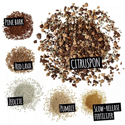 Растительный субстрат Lechuza CITRUS PON 12 L