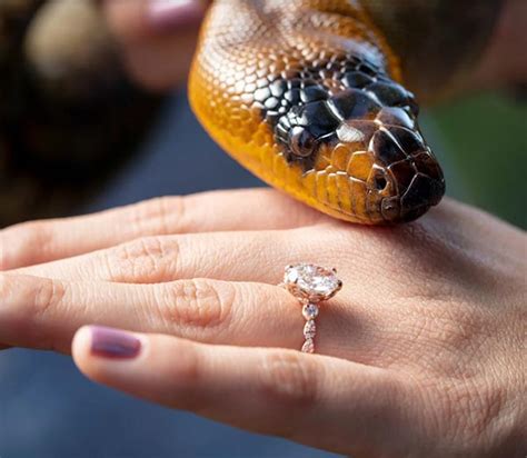 Bindi Irwins Engagement Ring Ringspo