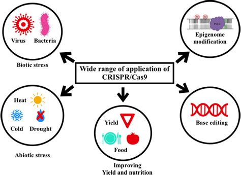 Type Iia Crisprcas System In Streptococcus Pyogenesa Crispr Locus In Download Scientific