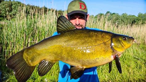 Правильна ПРИКОРМКА СНАСТЬ і МІСЦЕ на ЛИНЯ, Весь ЛИНЬ ваший, Рибалка на ...