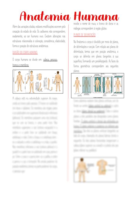 Solution Introdu O A Anatomia Studypool