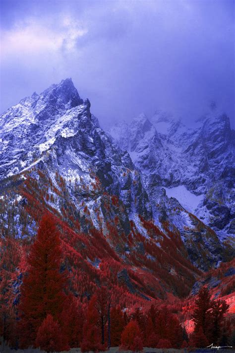 The Stunning Infrared Photo Of Kolari Visions Life In Another Light