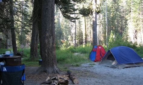 Tamarack Flat Campground Yosemite Camping Alltrips