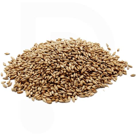 Barley malt Pale Ale (5 kg) Beer | Polsinelli Enologia