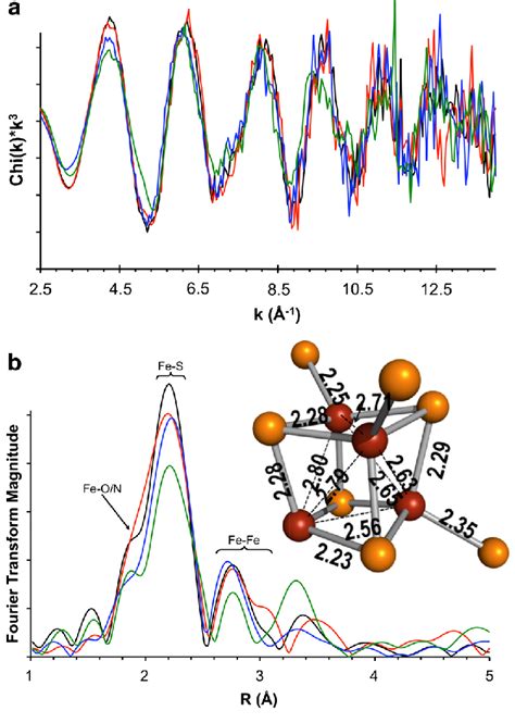 A Iron K Edge Extended X Ray Absorption Fine Structure Exafs Of