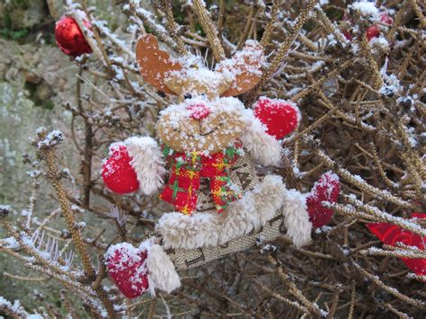 Snowman Frost Free Photo On Pixabay Pixabay