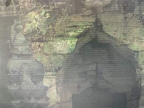 I Have Dell 22 Monitor Se2216h But It Showing White Horizontal Lines