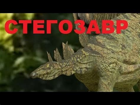 СТЕГОЗАВР - YouTube