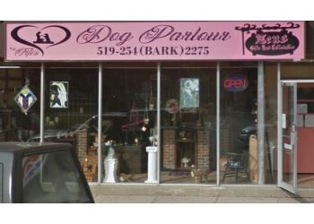pet grooming  windsor  expert recommendations