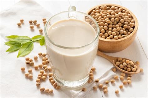 SOY MILK BENEFITS - List Of Benefits From Drinking Soy Milk