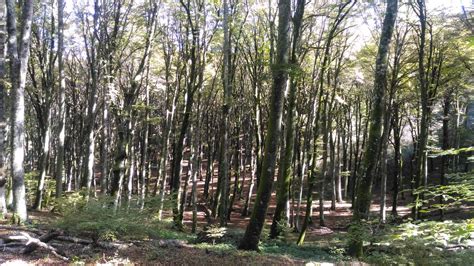 Il Borgo Di Caprarola Con Il Monte Cimino E Il Lago Di Vico