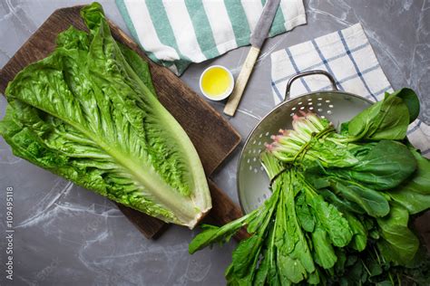 Green Salad Leaves Stock Photo Adobe Stock