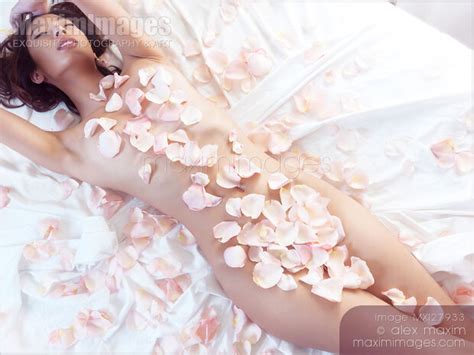 Photo Of Beautiful Nude Asian Woman Lying In Bed With Pink Rose Petals On Her Body Stock Image