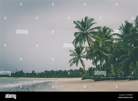 Moody Brazilian Beach Stock Photo Alamy