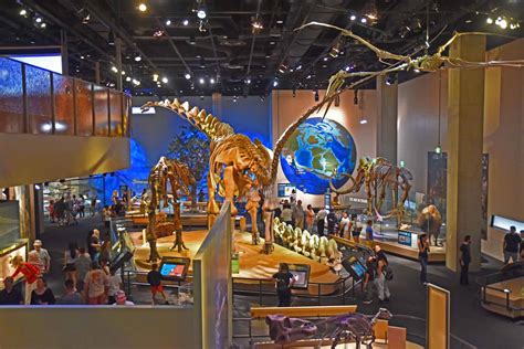 Perot Museum A Walk On The Science Side Our Changing Life