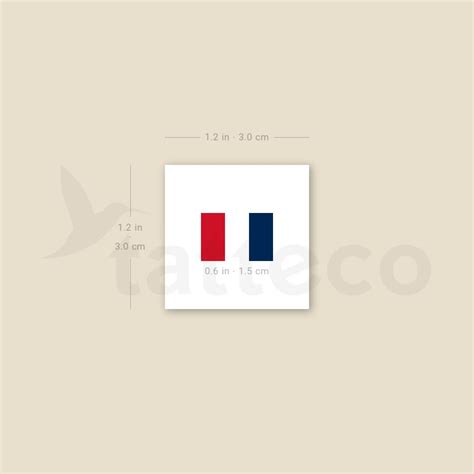 Small French Flag Temporary Tattoo - Set of 3 – Tatteco