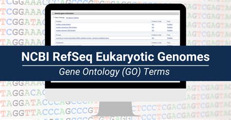 Gene Ontology (GO) Terms for NCBI RefSeq Eukaryotic Genomes - NCBI Insights