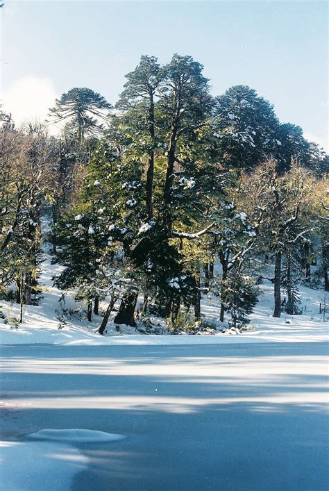 John Muir quote here - Laguna Las Totoras. Santuario Natural El Cañi.