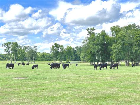 Patients are lining up at Labcorp Conway SC this morning 2