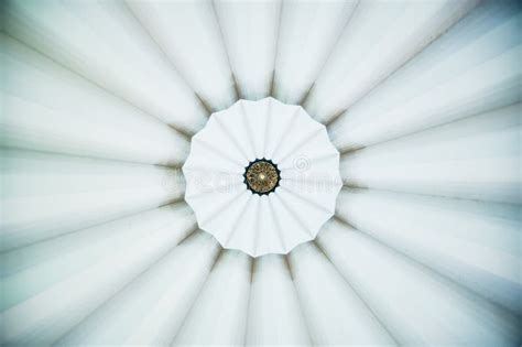 Pattern On Dome Ceiling Stock Image Image Of Arts Craft 54965451