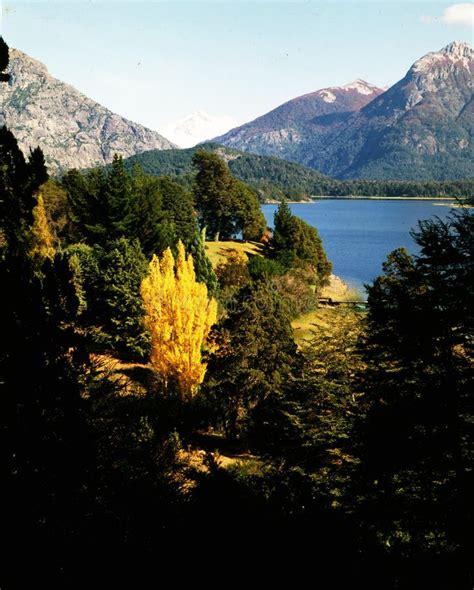 Argentina Bariloche Landscape With Forest And Lake Nahuel Huapi Stock