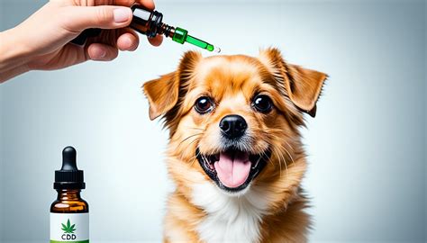 Quantas Gotas De Dramin Para Cachorro Filhote - Quantas gotas de canabidiol para cachorro? - Medicina In - Mundo Canabidiol