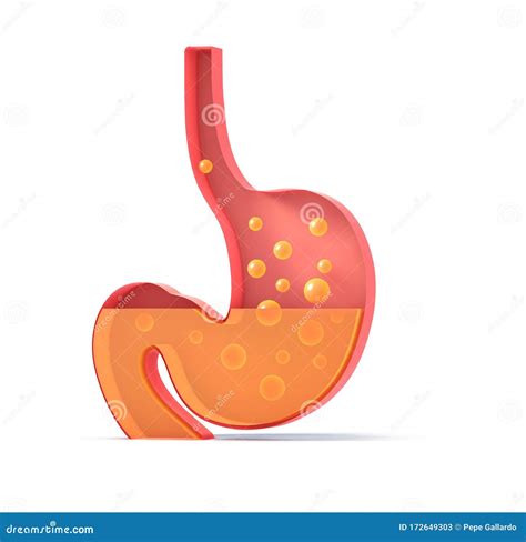 Ilustración 3D Del Estómago Que Muestra El Interior Haciendo La