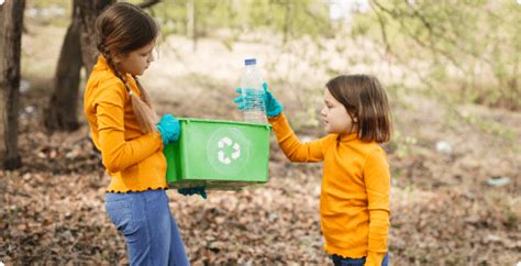 Las Consecuencias Ocultas De Un Reciclaje Deficiente Y 5 Maneras En