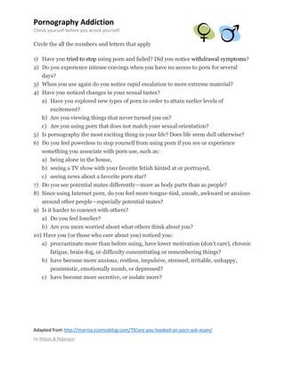 Porn Addiction PDF