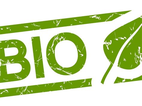 2DSD: Bio – Morawa bloggt auf Deutsch!