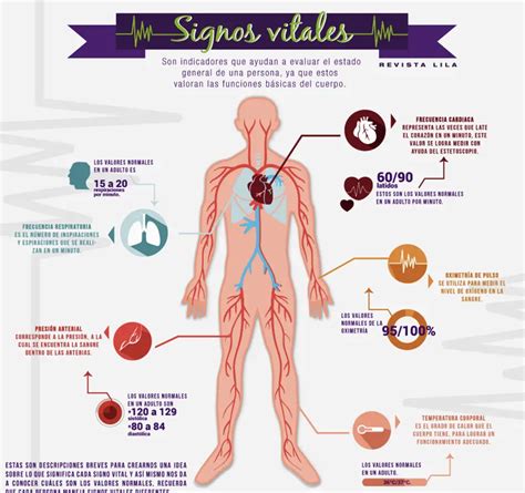 Signos Vitales Para Adultos Mayores | Doctor Online