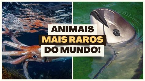 Animais Em Extinção Raros - 10 Animais Raros e Extraordinários À Beira Da Extinção! - YouTube